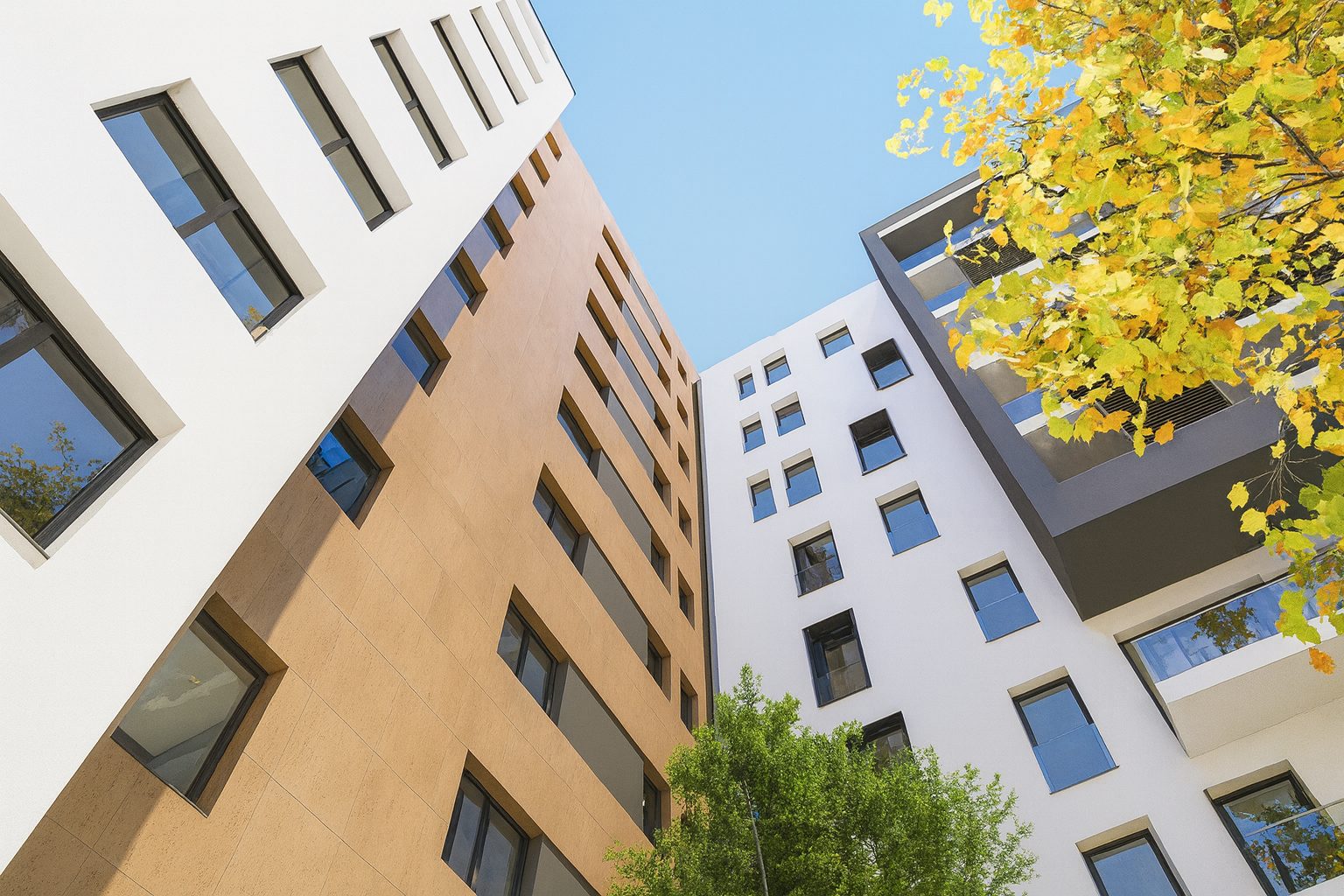 Hadibi Essors, programme immobilier par 1161 Studio à Alger — vue 5